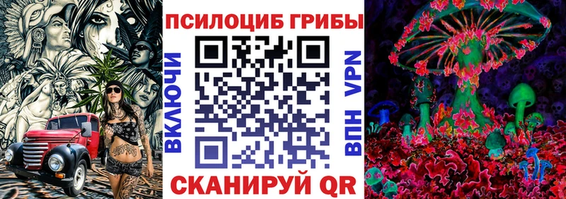 купить наркотики цена  Калининец  Галлюциногенные грибы MAGIC MUSHROOMS 